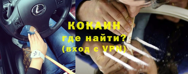 прущие грибы Саяногорск