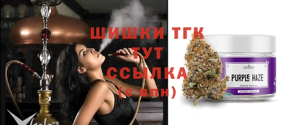 прущие грибы Саяногорск