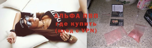 прущие грибы Саяногорск