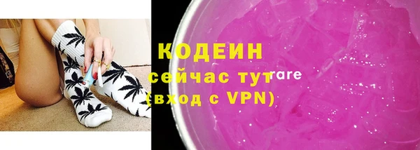 прущие грибы Саяногорск