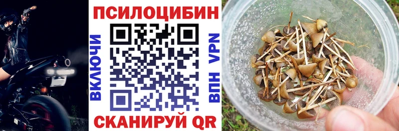 где продают наркотики  Тында  Псилоцибиновые грибы мухоморы 